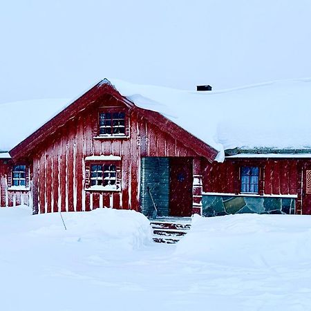 Large Cabin Sjusjoen Best View, Sauna, Ski Inout Eksteriør billede